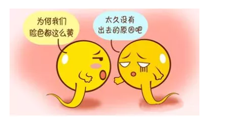 1-2201191IZ5J7.png